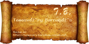 Temesváry Barnabás névjegykártya