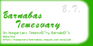 barnabas temesvary business card